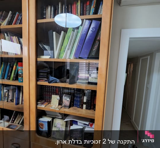 דלתות זכוכית בארון ספרים עם ספרים ותיקיות
